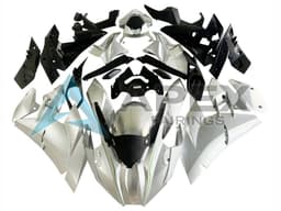 Silver - Kawasaki Ninja H2 (2015-2022) ABS Fairings | Apex Fairings — view 1
