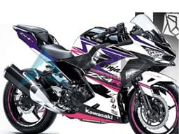 White Purple Pink - Kawasaki Ninja400 / EX400 (2018-2025) ABS Fairings | Apex Fairings — view 1
